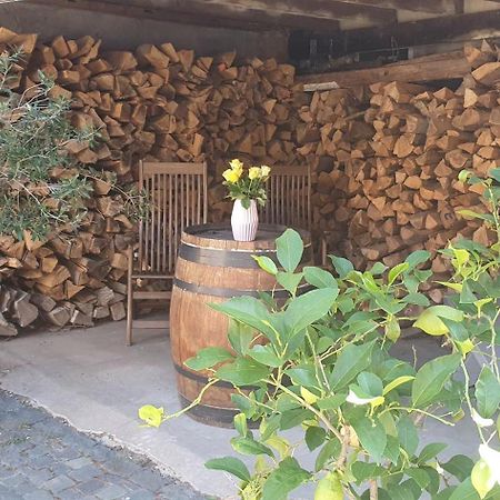 Gaestehaus Ringhof Florsheim-Dalsheim Extérieur photo