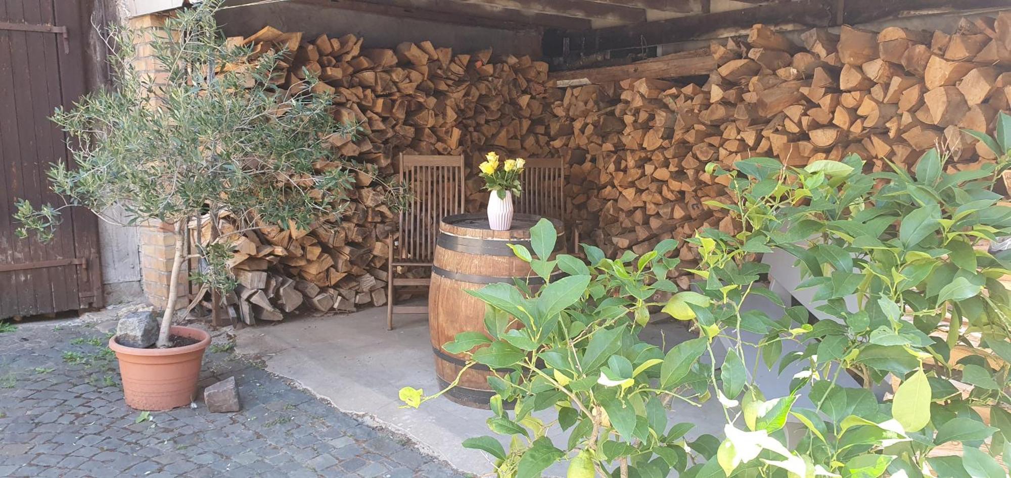 Gaestehaus Ringhof Florsheim-Dalsheim Extérieur photo